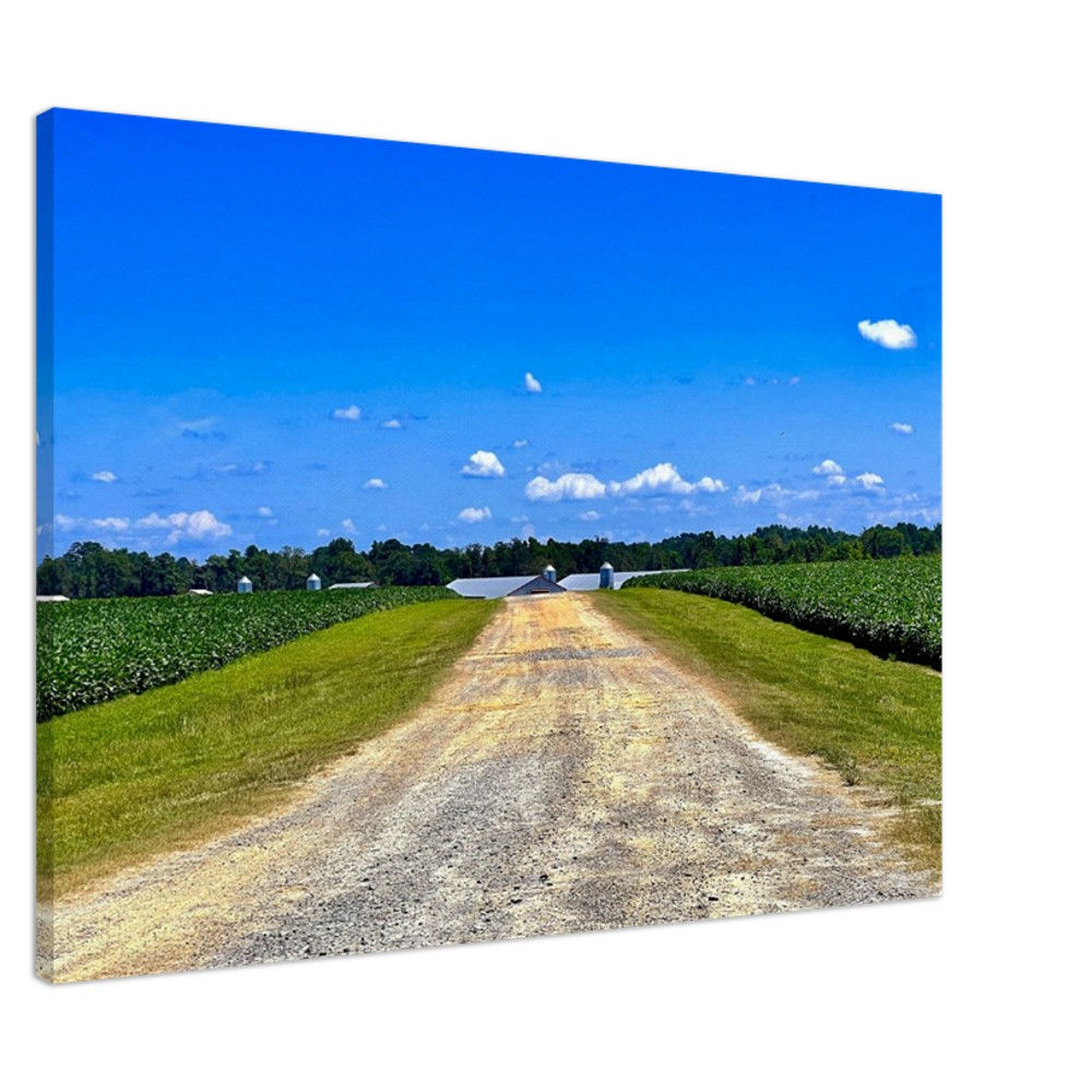 NC country road in bold blue and green