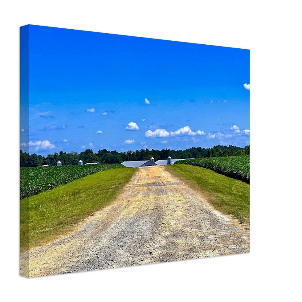 Thumbnail: NC country road in bold blue and green