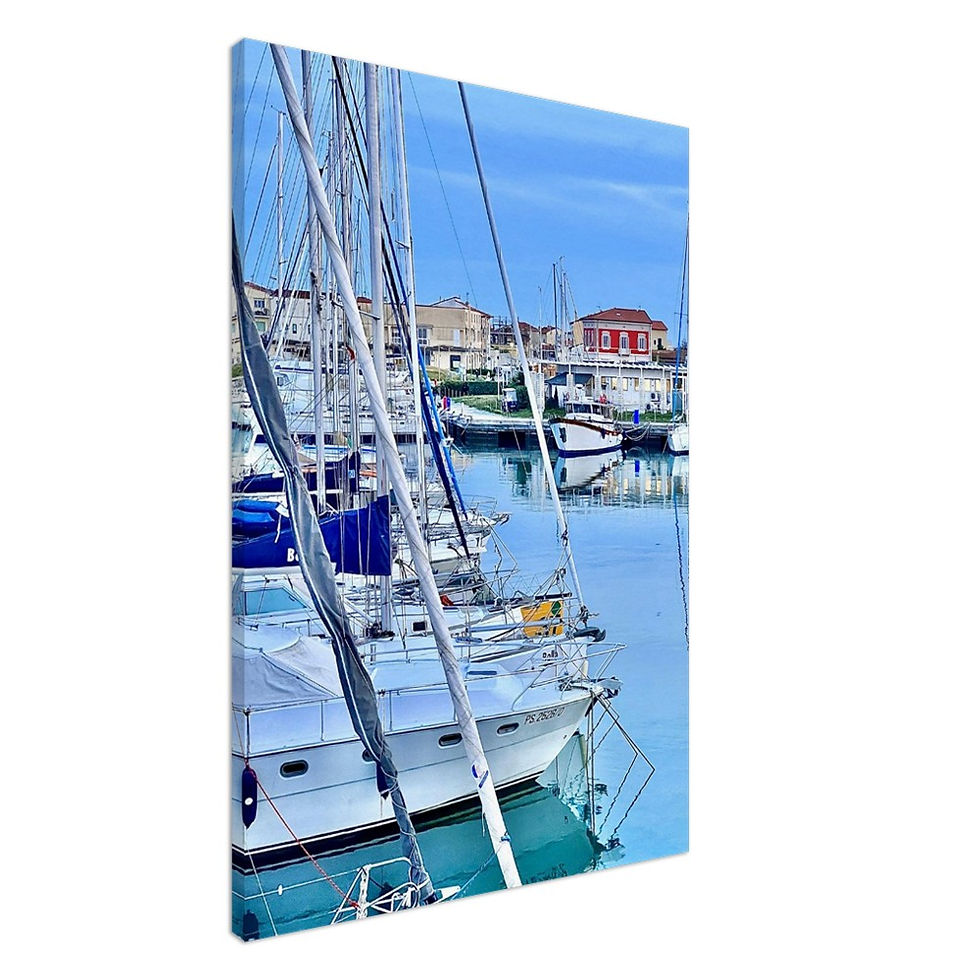 Boat Yard at Marina Di Pisa, Italy