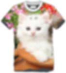 TS Animal Gato 2.jpg