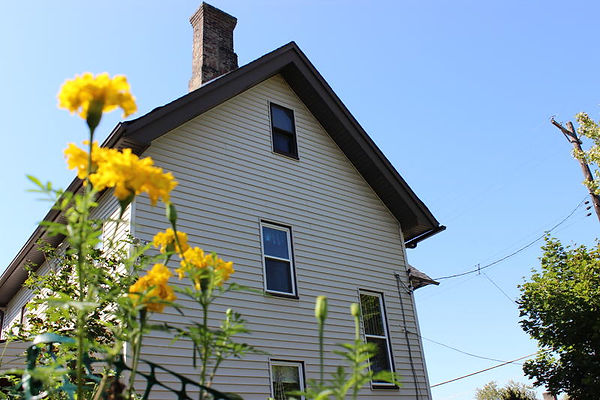 white house with yellow flowers in lawn
