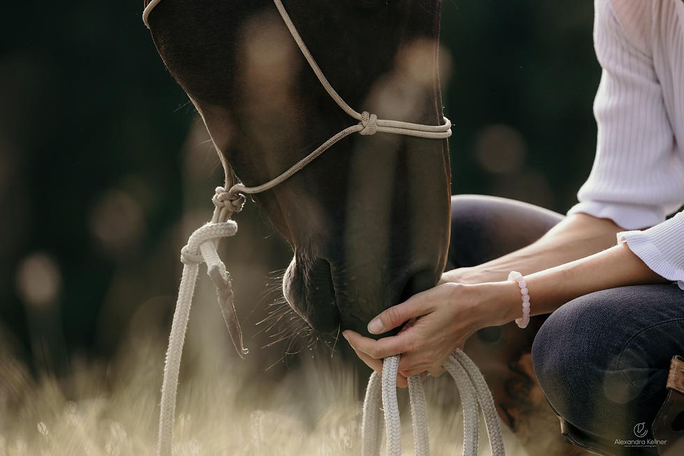 WhatsApp Image 2026-01-28 at 14.45.01 (1)