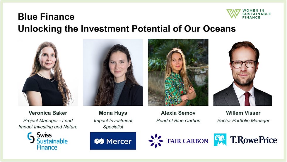 Blue Finance: Unlocking the Investment Potential of Our Oceans