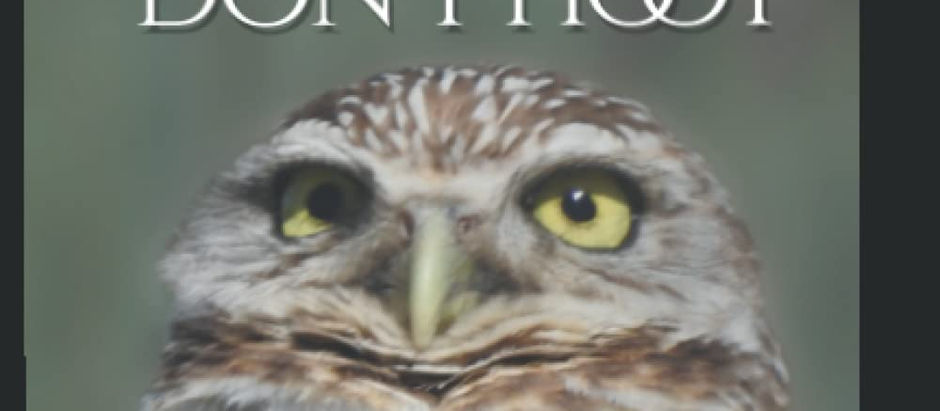 Cape Coral Burrowing Owls Don't Hoot