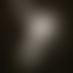 Finding Light in Dark Times: Lessons from the Twelve