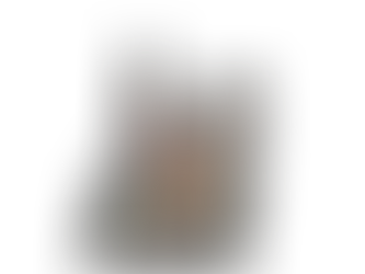 The Power of the Outsider: Why We Need Heroes Like "Donkey Wolf"