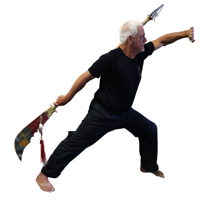 Iron Dragon Martial Arts, Roseville, Master Smotherman