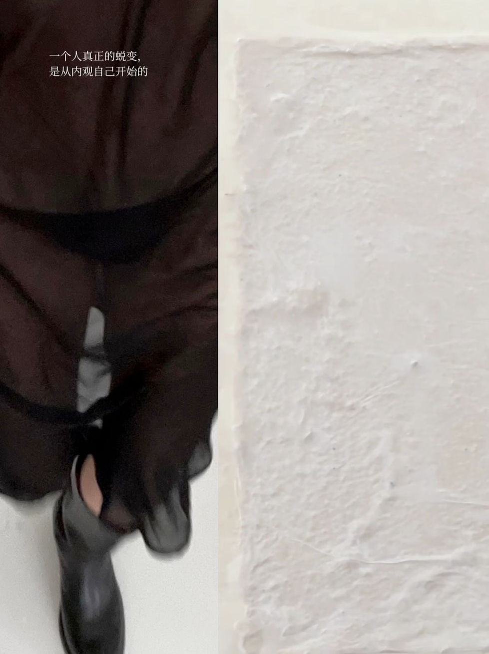 Live_20241222193744344.jpeg