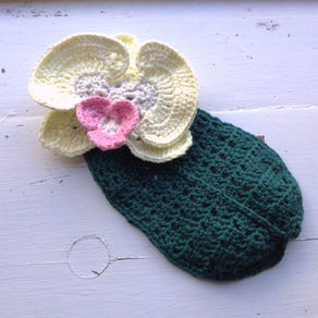 Orchid Leaf