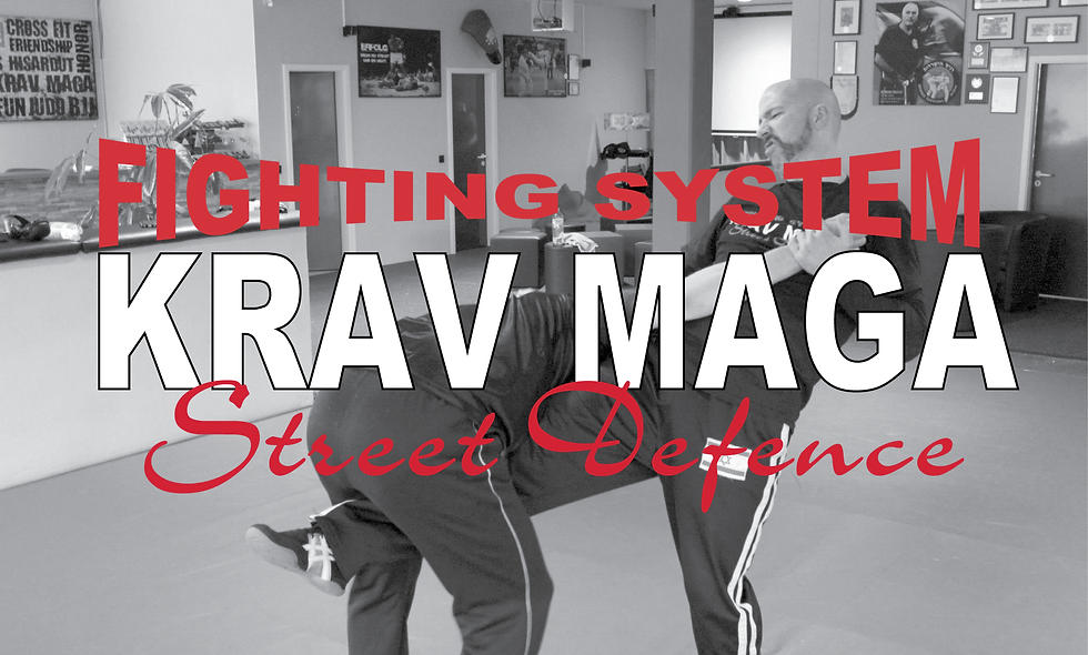 Krav Maga Rochester
