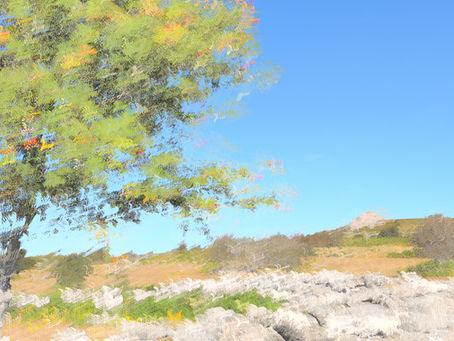 The Dry, Dry, Dry Summer of 2026