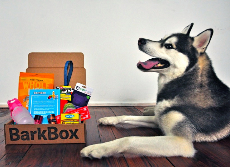 barkbox.jpeg