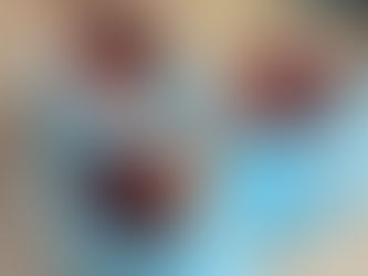 Surf and Turf Toppls