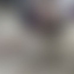 My Dog Won't Stop Digging!