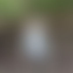 Five Tips and Tricks for Training and Living With Your Small Breed Dog