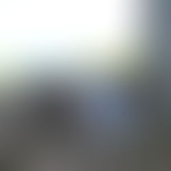 How to Safely Explore with Your Dog