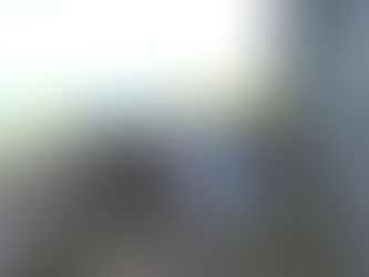 How to Safely Explore with Your Dog