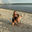 Writer: Maddie Speirs SAPT