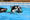 A black and white dog swimming in the pool with a toy