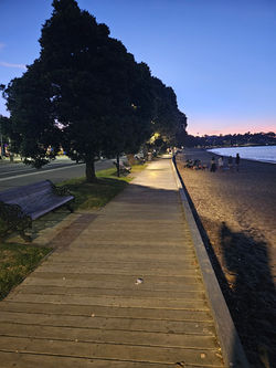 St Heliers Boardwalk Lighting