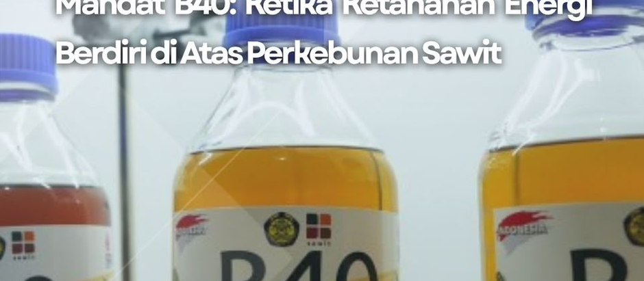 MANDAT B40: KETIKA KETAHANAN ENERGI BERDIRI DI ATAS PERKEBUNAN SAWIT