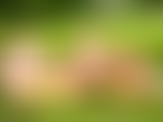 É assim que o seu bebê aprende a comer