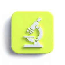 Intensive Couples Therapy -
Los Angeles & West Hollywood