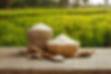 rice-16397208723x2.jpg