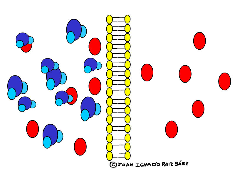 5.gif