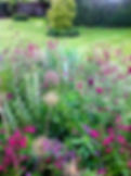 Old Vicarage Pond Border.jpg