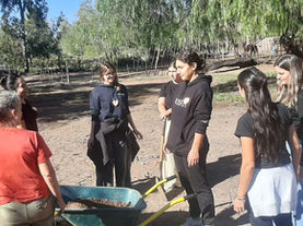 Recorriendo el país: acciones sostenibles y aprendizaje colectivo junto a PwC Argentina
