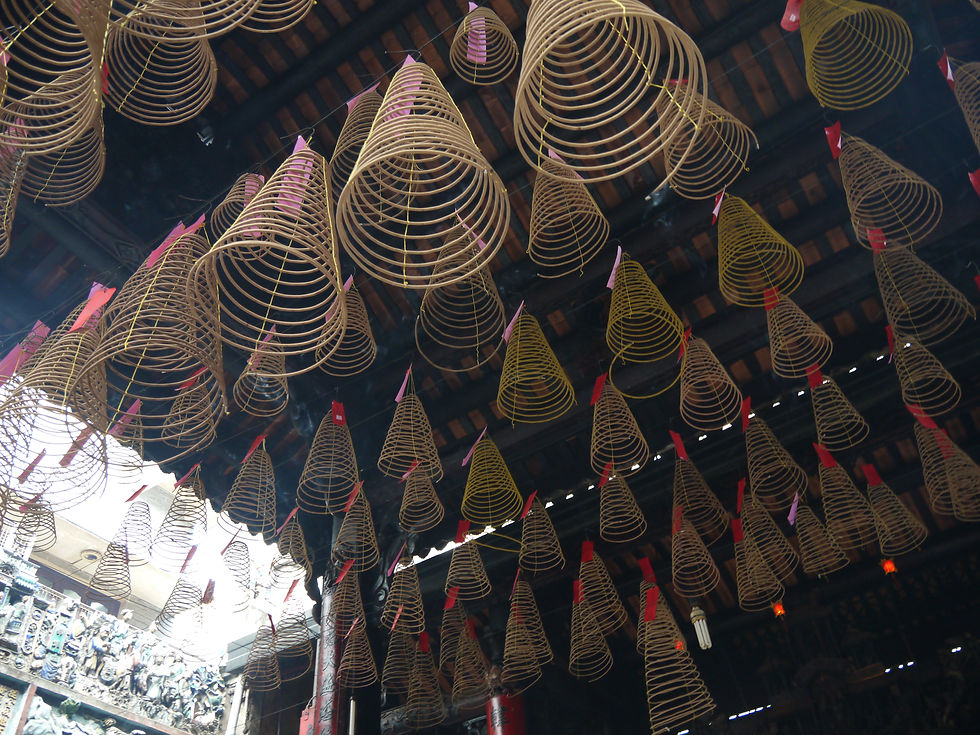 P1070055.JPG