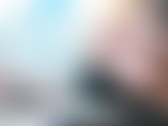 Legal documents during a secure Remote Online Notarization session using a virtual notary platform