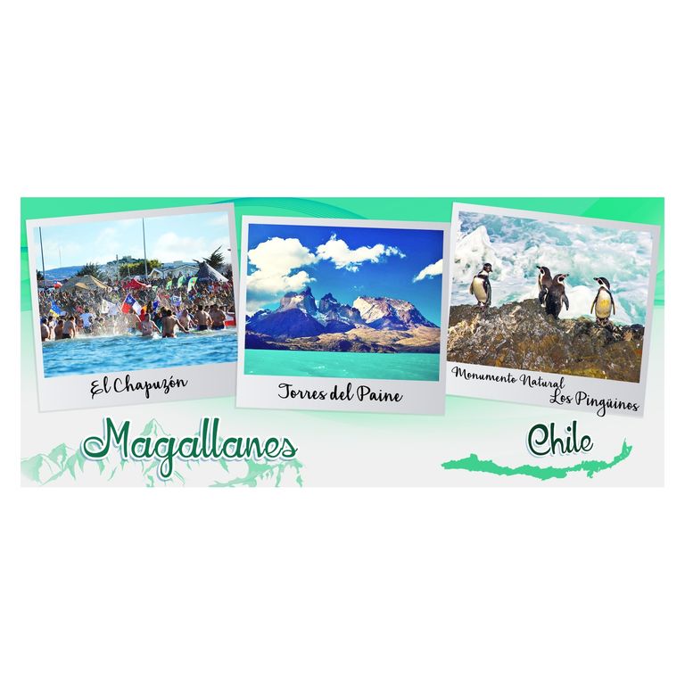 Taza Magallanes - Aventura Austral
