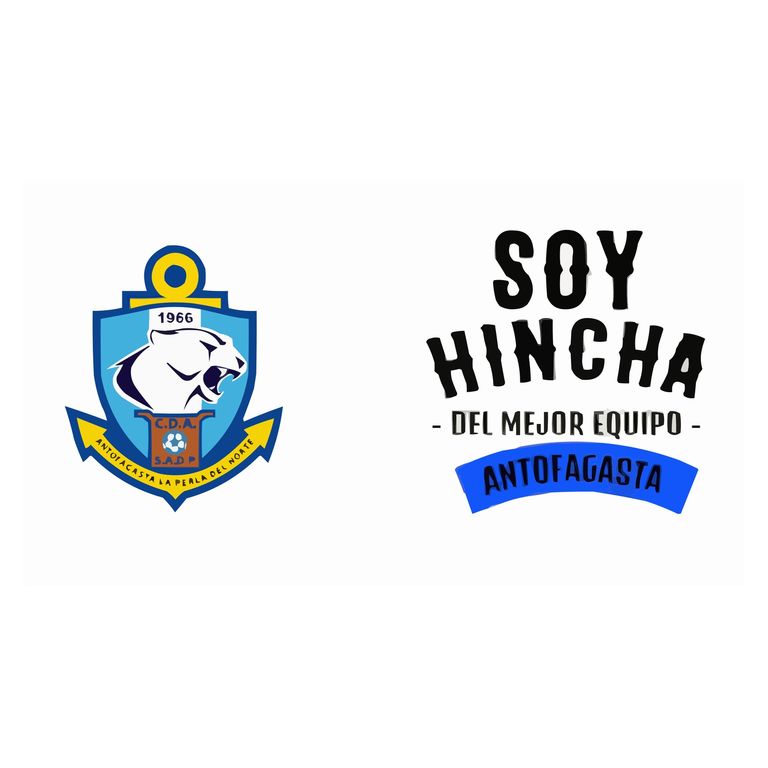 Pack Vaso Schopero Antofagasta