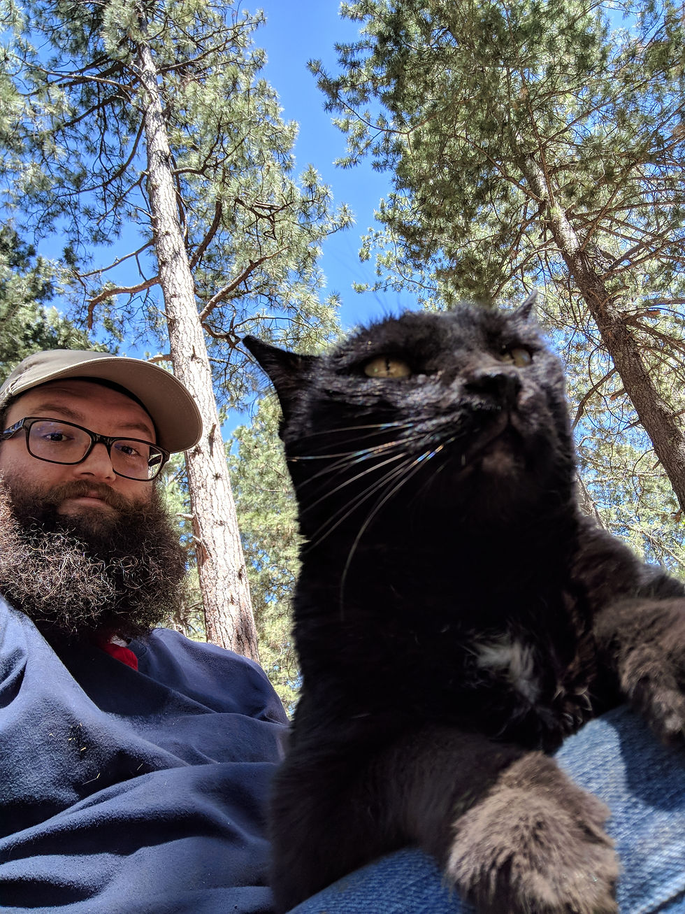 Taking Your Cat Camping