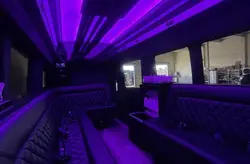 Brand new Luxury Limo Van Interior