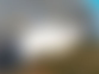 Dois meios aéreos combatem incêndio no parque Peneda-Gerês