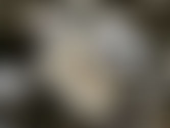 Covid-19: Mar 2020 disponibiliza 4 ME para apoiar aquicultores