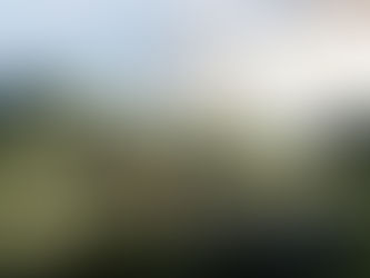 Incêndios: Chamas consumiram 2.100 hectares em Oliveira de Frades e Sever do Vouga