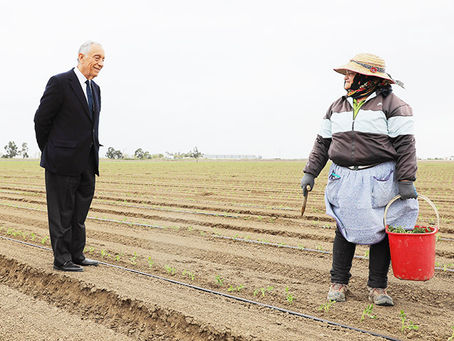 Covid-19: Marcelo visitou produção de tomate para mostrar "país que está a produzir"