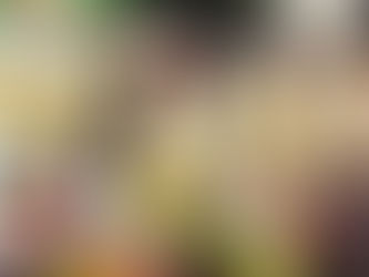 Lisboa cancela arraiais de Santo António e marchas populares