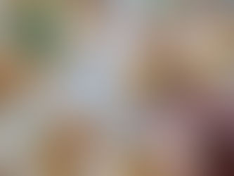 Covid-19: Empresas com novo apoio à retoma recebem ajuda para subsídio de Natal em 2021