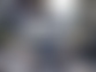 Aprovada gratuitidade nos transportes para jovens até aos 18 anos no Porto