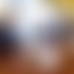 Encontro no Palácio Guanabara