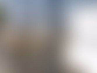 Covid-19: Estabelecimentos e espaços obrigados a encerrar às 00:00 de sexta-feira