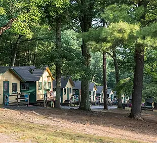 pine forest cabins.webp