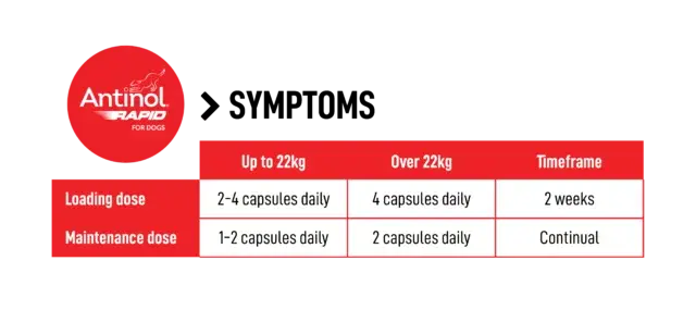 Thumbnail: Joint dog supplement