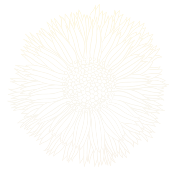 Very faint outline of a large calendula