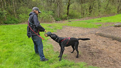 Tug Time with Odin (APP)